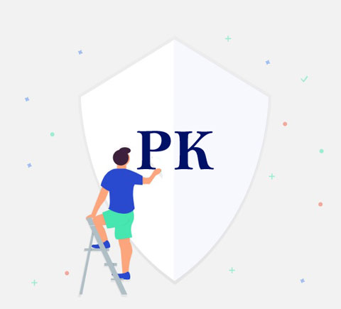 Buy PK Domain